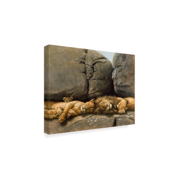 Harro Maass 'Two Lions Head To Head' Canvas Art,18x24